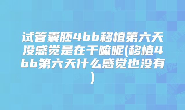 试管囊胚4bb移植第六天没感觉是在干嘛呢(移植4bb第六天什么感觉也没有)