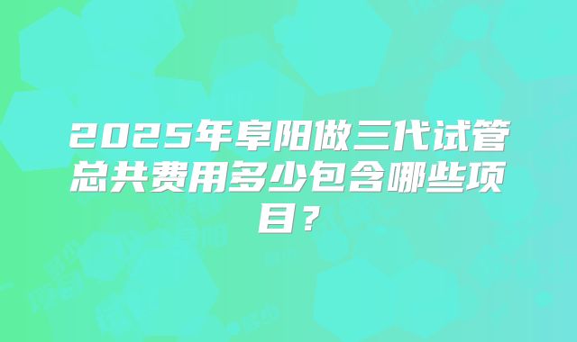 2025年阜阳做三代试管总共费用多少包含哪些项目?