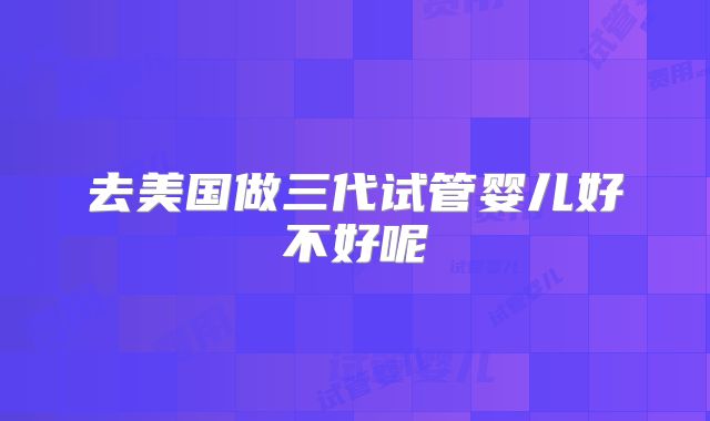 去美国做三代试管婴儿好不好呢
