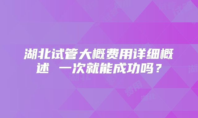 湖北试管大概费用详细概述 一次就能成功吗？