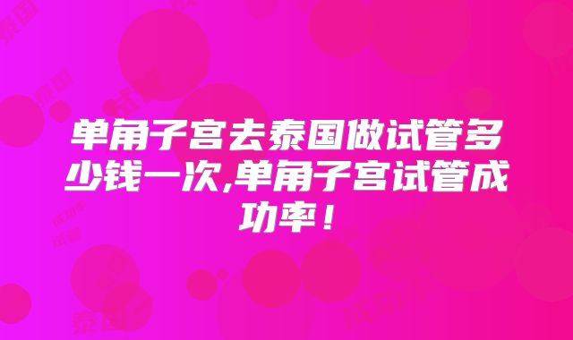 单角子宫去泰国做试管多少钱一次,单角子宫试管成功率！