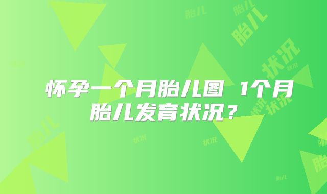 ​怀孕一个月胎儿图 1个月胎儿发育状况？