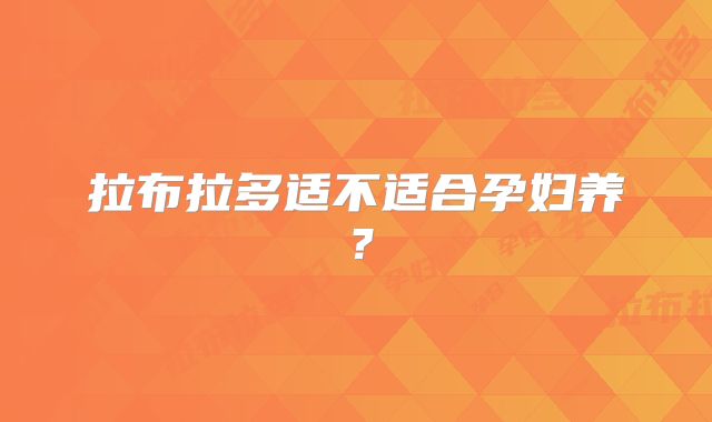 拉布拉多适不适合孕妇养？