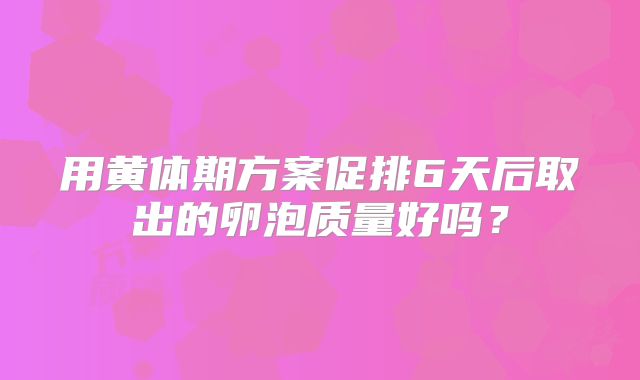 用黄体期方案促排6天后取出的卵泡质量好吗?