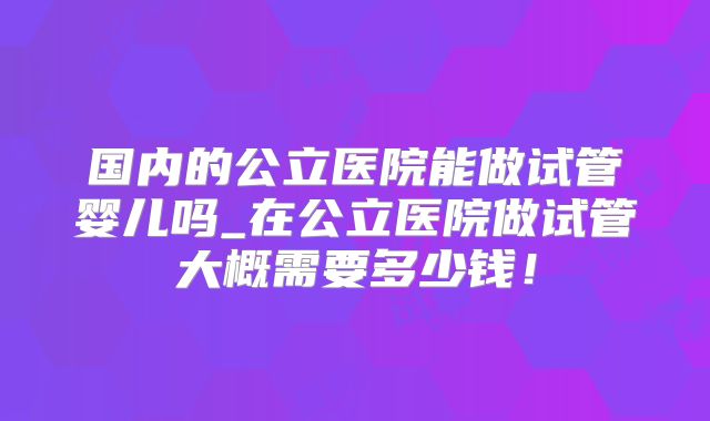 国内的公立医院能做试管婴儿吗_在公立医院做试管大概需要多少钱！