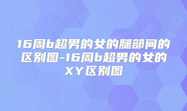 16周b超男的女的腿部间的区别图-16周b超男的女的XY区别图