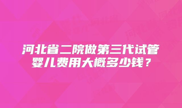 河北省二院做第三代试管婴儿费用大概多少钱？