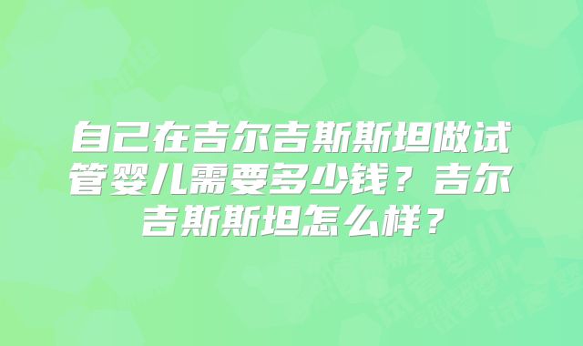 自己在吉尔吉斯斯坦做试管婴儿需要多少钱？吉尔吉斯斯坦怎么样？