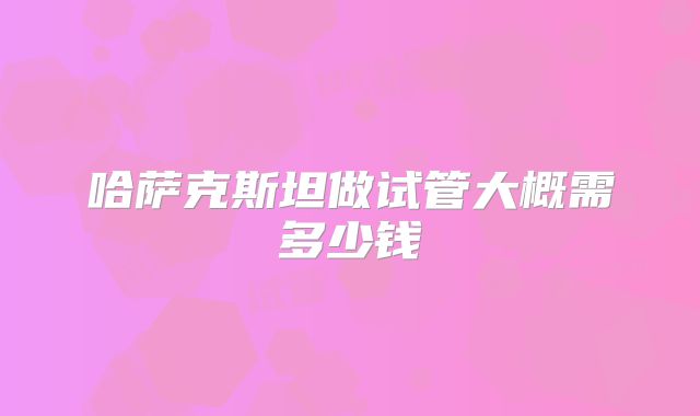 哈萨克斯坦做试管大概需多少钱