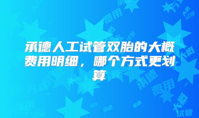 承德人工试管双胎的大概费用明细，哪个方式更划算