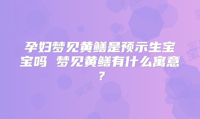 孕妇梦见黄鳝是预示生宝宝吗 梦见黄鳝有什么寓意?