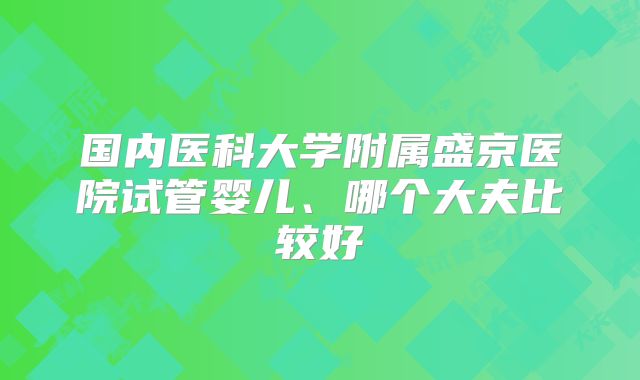 国内医科大学附属盛京医院试管婴儿、哪个大夫比较好