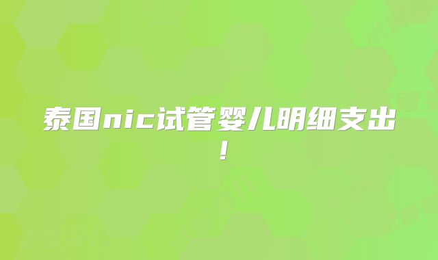 泰国nic试管婴儿明细支出！