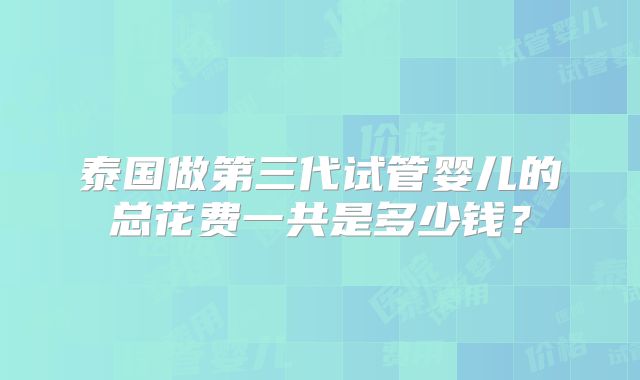 泰国做第三代试管婴儿的总花费一共是多少钱?