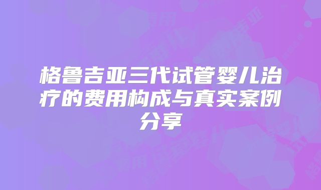 格鲁吉亚三代试管婴儿治疗的费用构成与真实案例分享