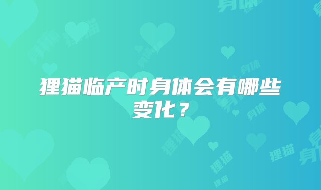 狸猫临产时身体会有哪些变化？