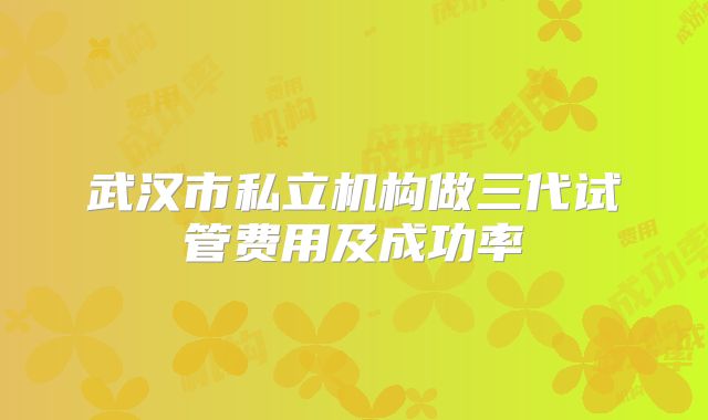 武汉市私立机构做三代试管费用及成功率