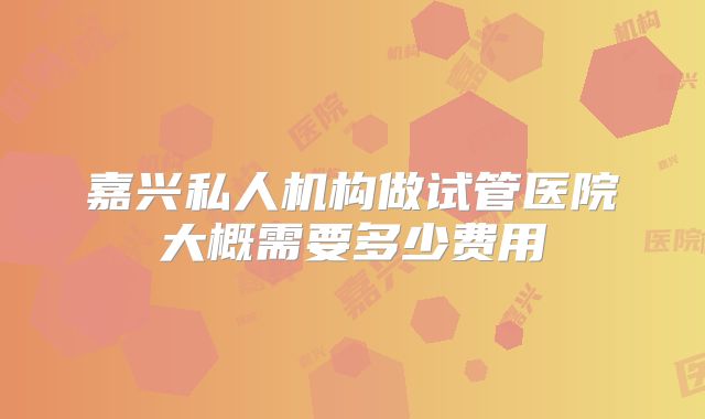 嘉兴私人机构做试管医院大概需要多少费用