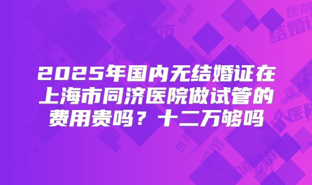 2025年国内无结婚证在上海市同济医院做试管的费用贵吗？十二万够吗