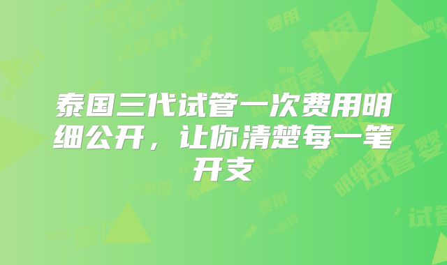 泰国三代试管一次费用明细公开,让你清楚每一笔开支