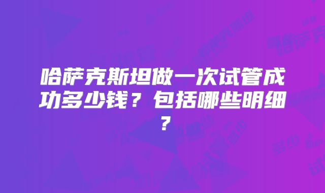 哈萨克斯坦做一次试管成功多少钱？包括哪些明细？