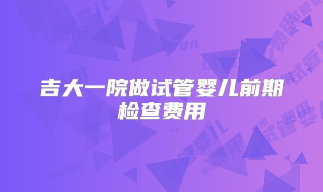 吉大一院做试管婴儿前期检查费用