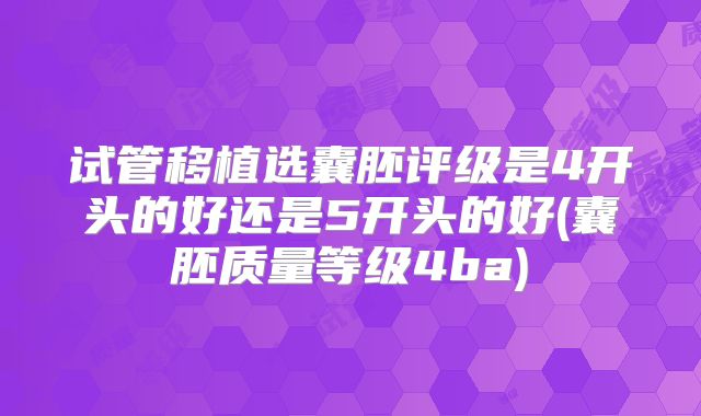 试管移植选囊胚评级是4开头的好还是5开头的好(囊胚质量等级4ba)