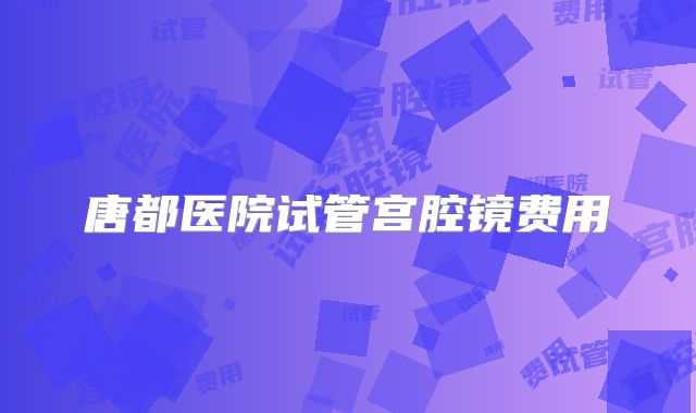 唐都医院试管宫腔镜费用