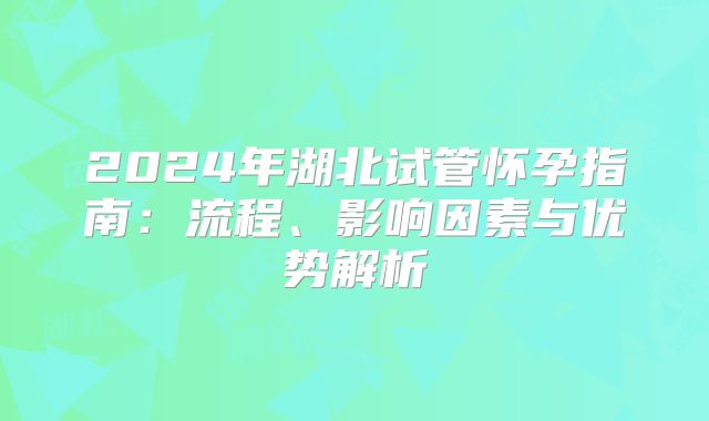 2024年湖北试管怀孕指南：流程、影响因素与优势解析