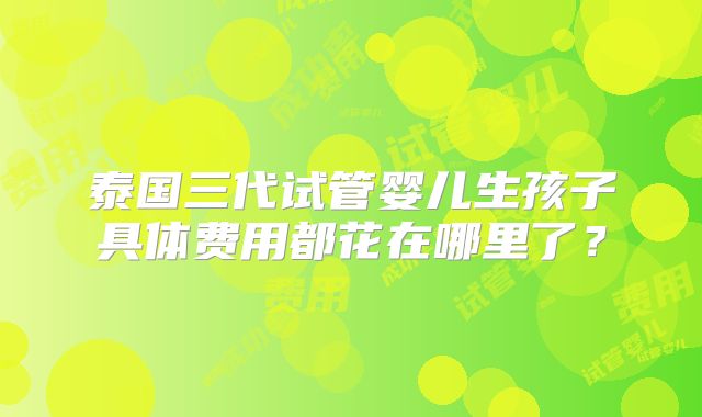 泰国三代试管婴儿生孩子具体费用都花在哪里了？