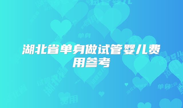 湖北省单身做试管婴儿费用参考