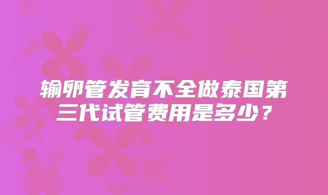 输卵管发育不全做泰国第三代试管费用是多少？