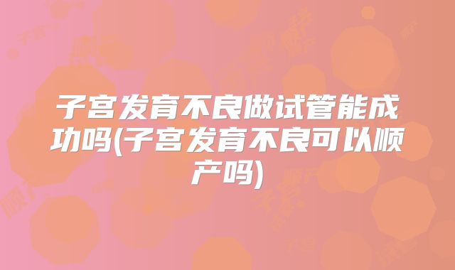 子宫发育不良做试管能成功吗(子宫发育不良可以顺产吗)
