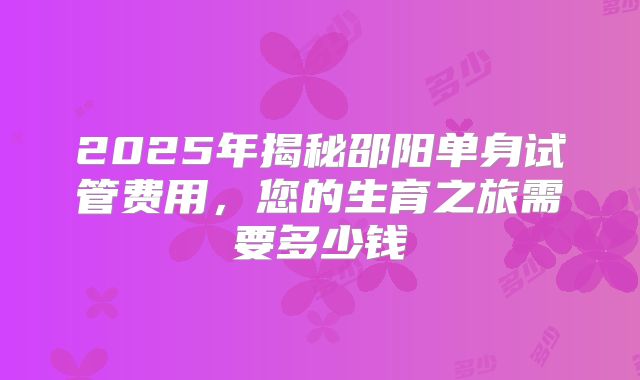 2025年揭秘邵阳单身试管费用，您的生育之旅需要多少钱