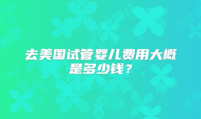 去美国试管婴儿费用大概是多少钱？