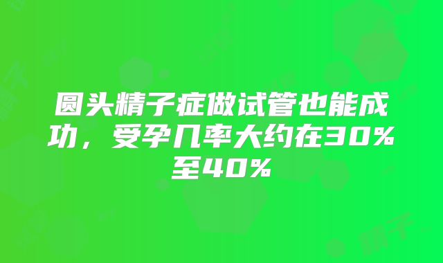 圆头精子症做试管也能成功,受孕几率大约在30%至40%