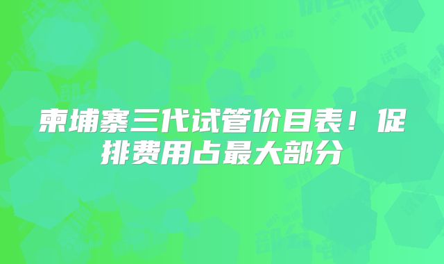 柬埔寨三代试管价目表！促排费用占最大部分