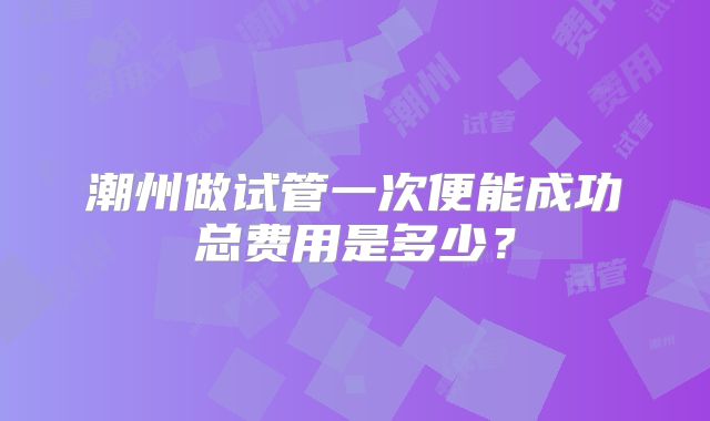 潮州做试管一次便能成功总费用是多少？