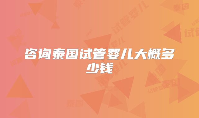 咨询泰国试管婴儿大概多少钱