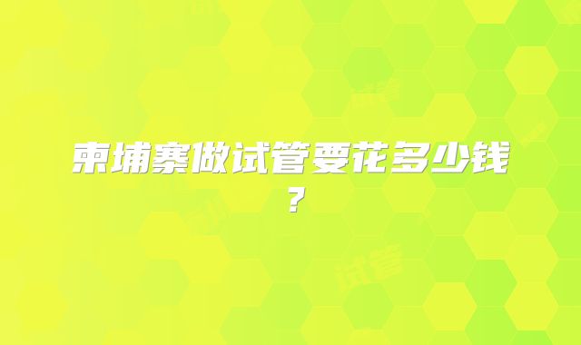 柬埔寨做试管要花多少钱?