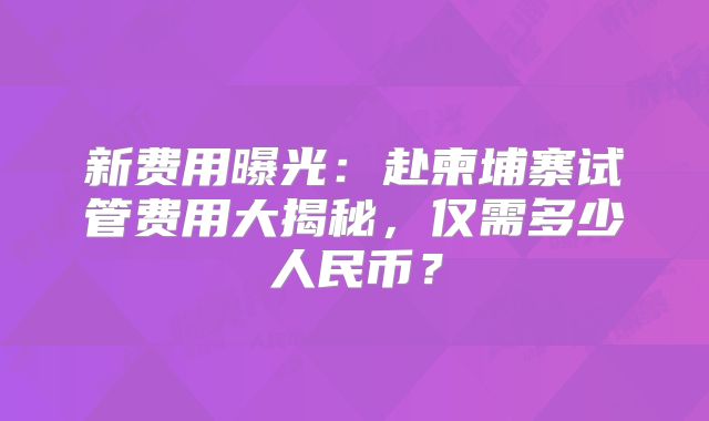 新费用曝光:赴柬埔寨试管费用大揭秘,仅需多少人民币?