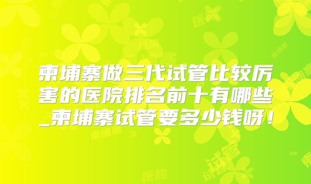 柬埔寨做三代试管比较厉害的医院排名前十有哪些_柬埔寨试管要多少钱呀!