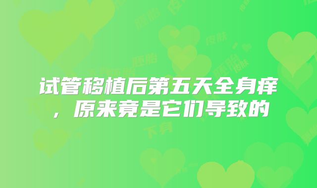 试管移植后第五天全身痒，原来竟是它们导致的