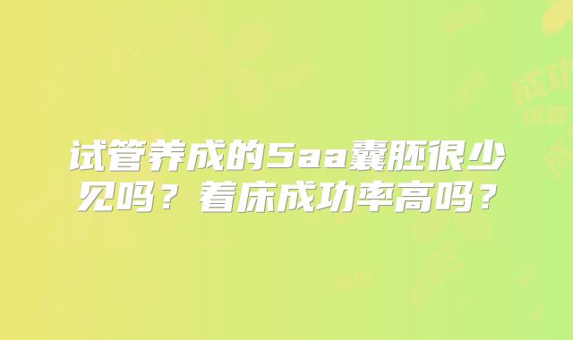 试管养成的5aa囊胚很少见吗?着床成功率高吗?