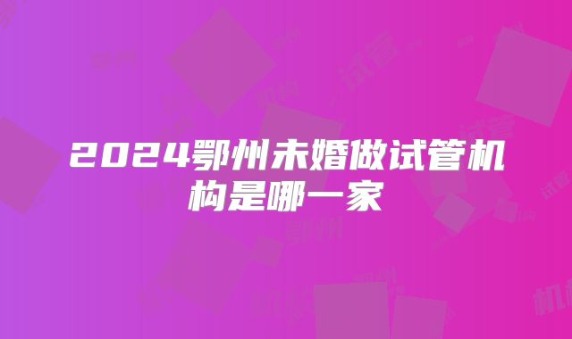 2024鄂州未婚做试管机构是哪一家