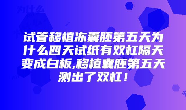 试管移植冻囊胚第五天为什么四天试纸有双杠隔天变成白板,移植囊胚第五天测出了双杠！