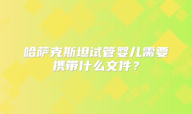 哈萨克斯坦试管婴儿需要携带什么文件？