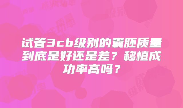 试管3cb级别的囊胚质量到底是好还是差?移植成功率高吗?