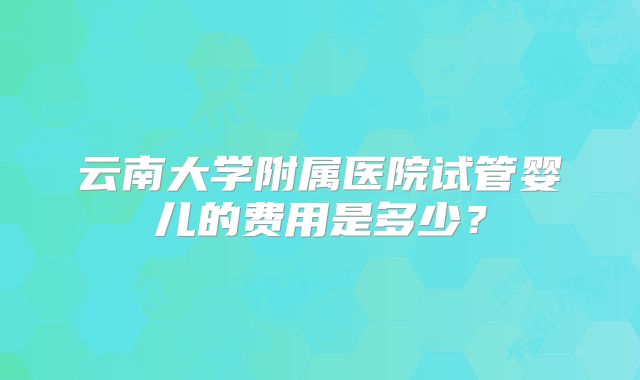 云南大学附属医院试管婴儿的费用是多少？
