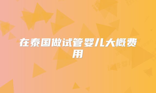 在泰国做试管婴儿大概费用